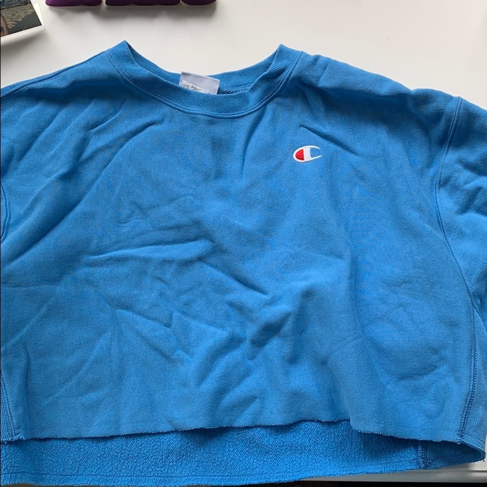 Champion long sleeve light blue crop top